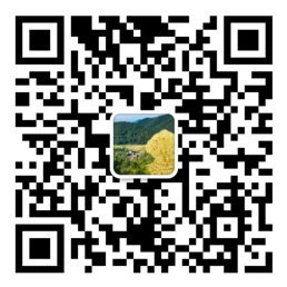 赢多多app官方下载苹果